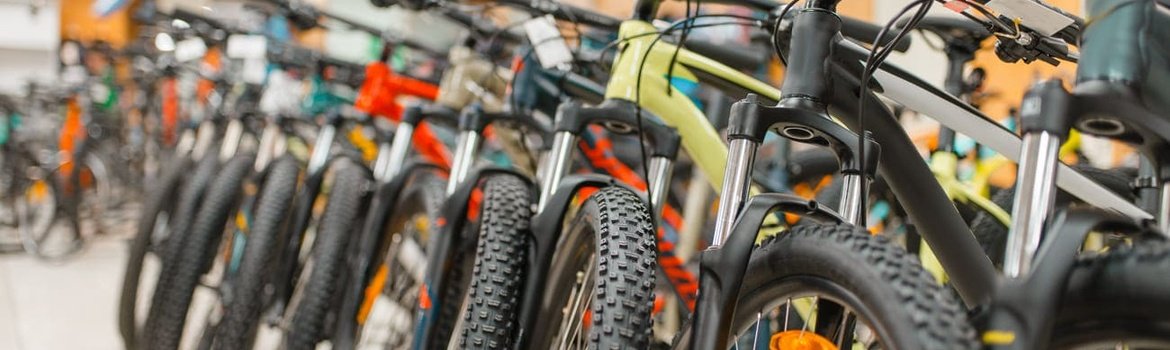 Kaip iÅ¡sirinkti dviratÄ¯: gidas pagal tipÄ…, dydÄ¯ ir biudÅ¾etÄ…