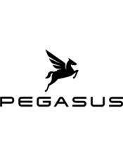 Pegasus